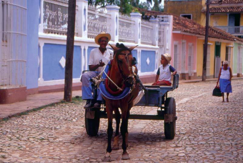 כלי תחבורה נפוץ בקובה. צילם: גיא נוימן