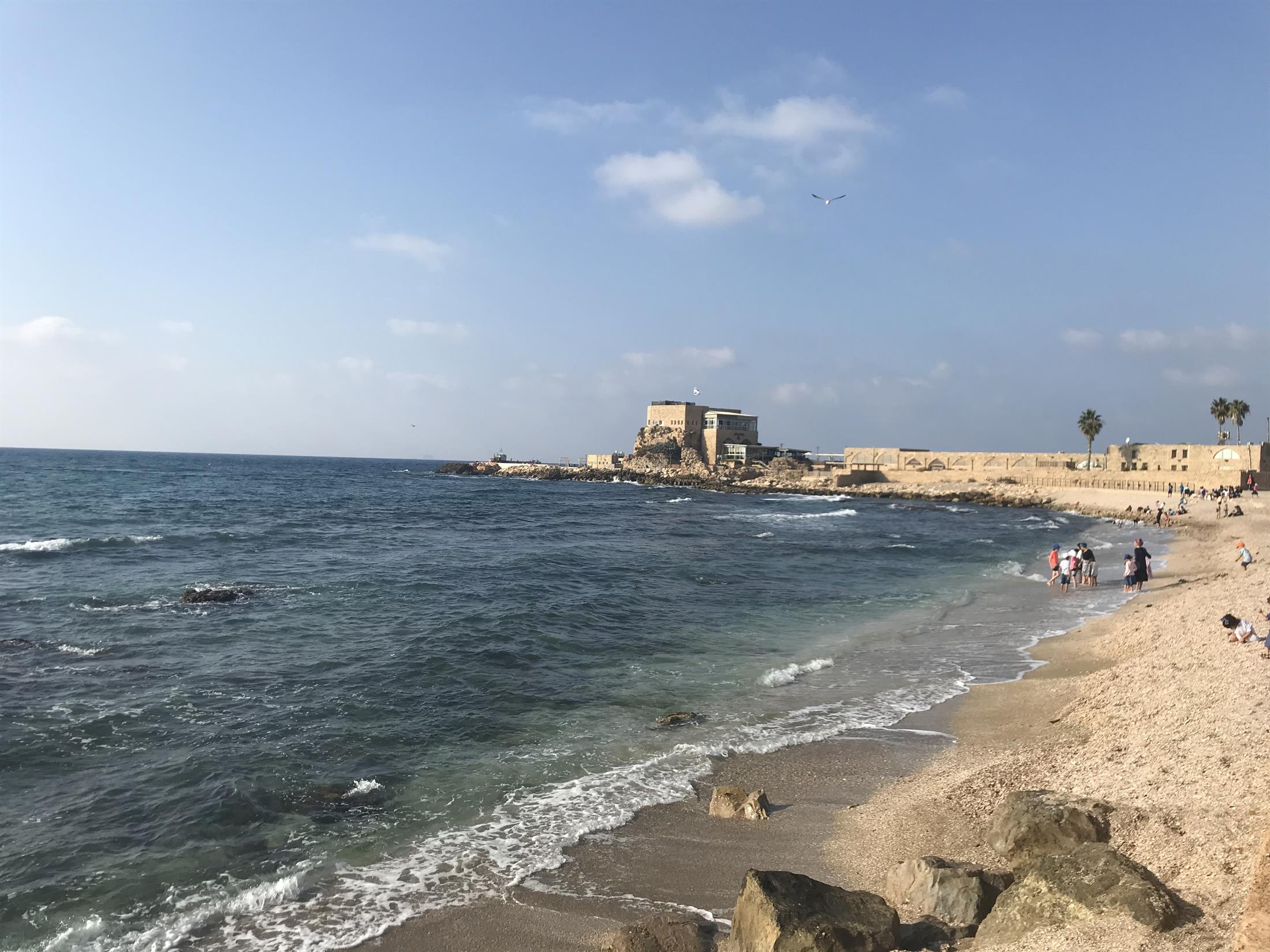 סיור במישור חוף הכרמל 