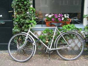 אמסטרדם על אופניים