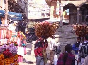הודו: ססגוניות וצבעוניות בשווקים צילם: דודו זגורי