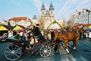 שלווה פסטוראלית. צילום: Czech Tourism