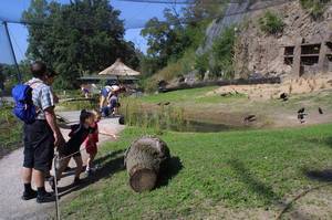 ביקור בגן החיות הוא בגדר חובה למטיילים בפראג עם הילדים. צילום: Czech Tourism