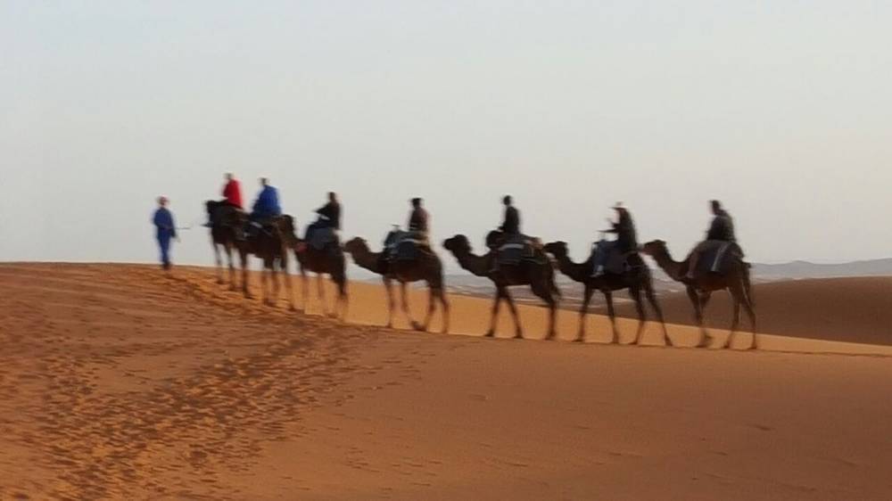 חוות דעת המלצה על טיול דיסקברי למרוקו | אפריל 2016 | דיסקברי טיול עולמי 