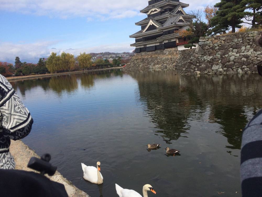 חוות דעת על דיסקברי טיול מאורגן ליפן עם המדריך מיכאל גיא 5.4.2015 | מאת: גאולה נחמיה